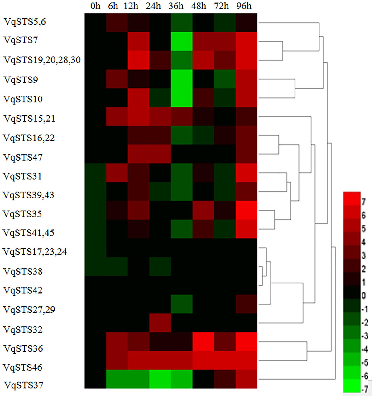 Frontiers | Expression of the Grape VqSTS21 Gene in