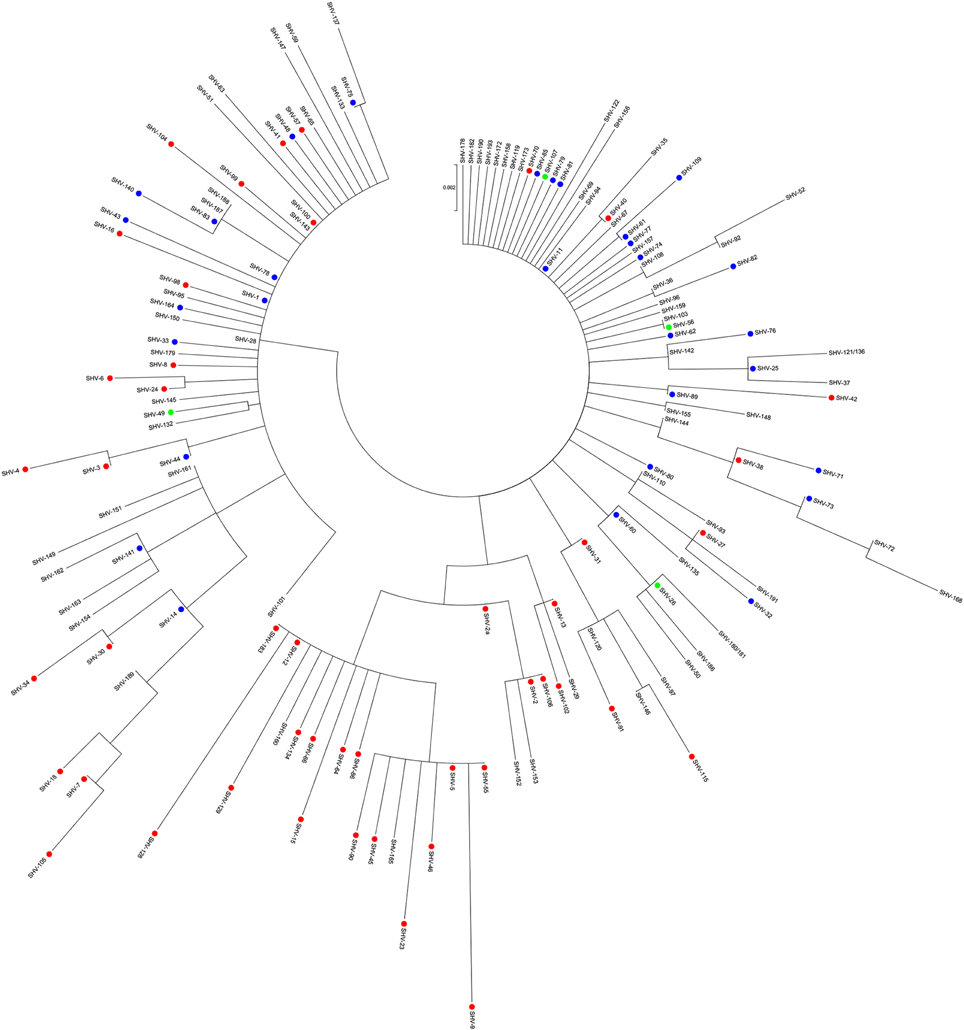 Ultimate Ked va Ket jinsiy aloqa Rostovda havaskor porno videolar
