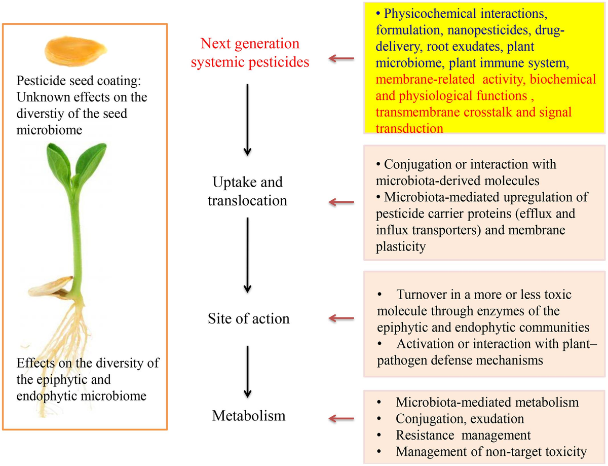 Frontiers | The Plant as Metaorganism and Research on Next