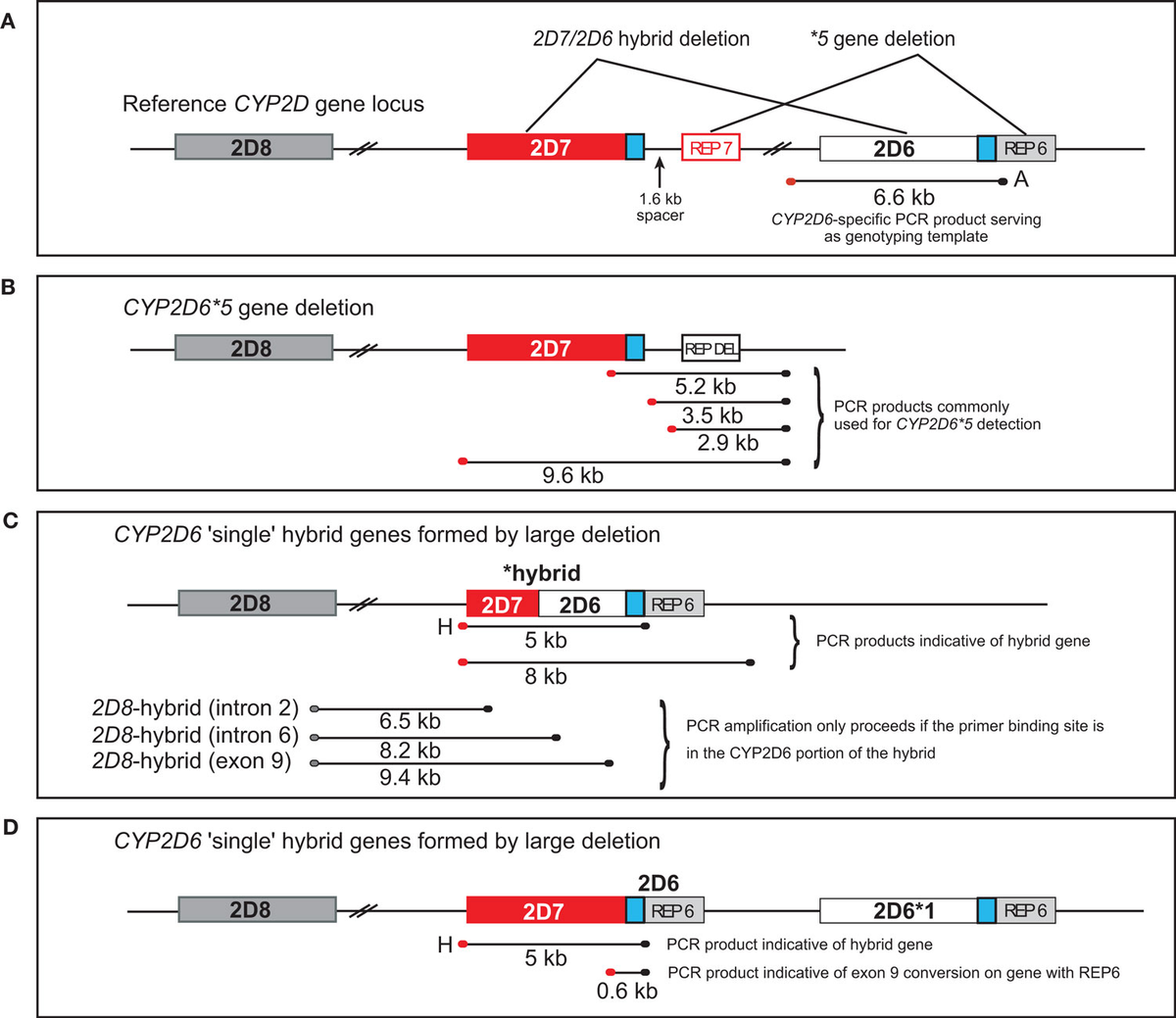 GENE CLONING & DNA ANALYSIS 第6版 Gene Cloning And DNA Analysis 6th Ed : Free Download, Borrow