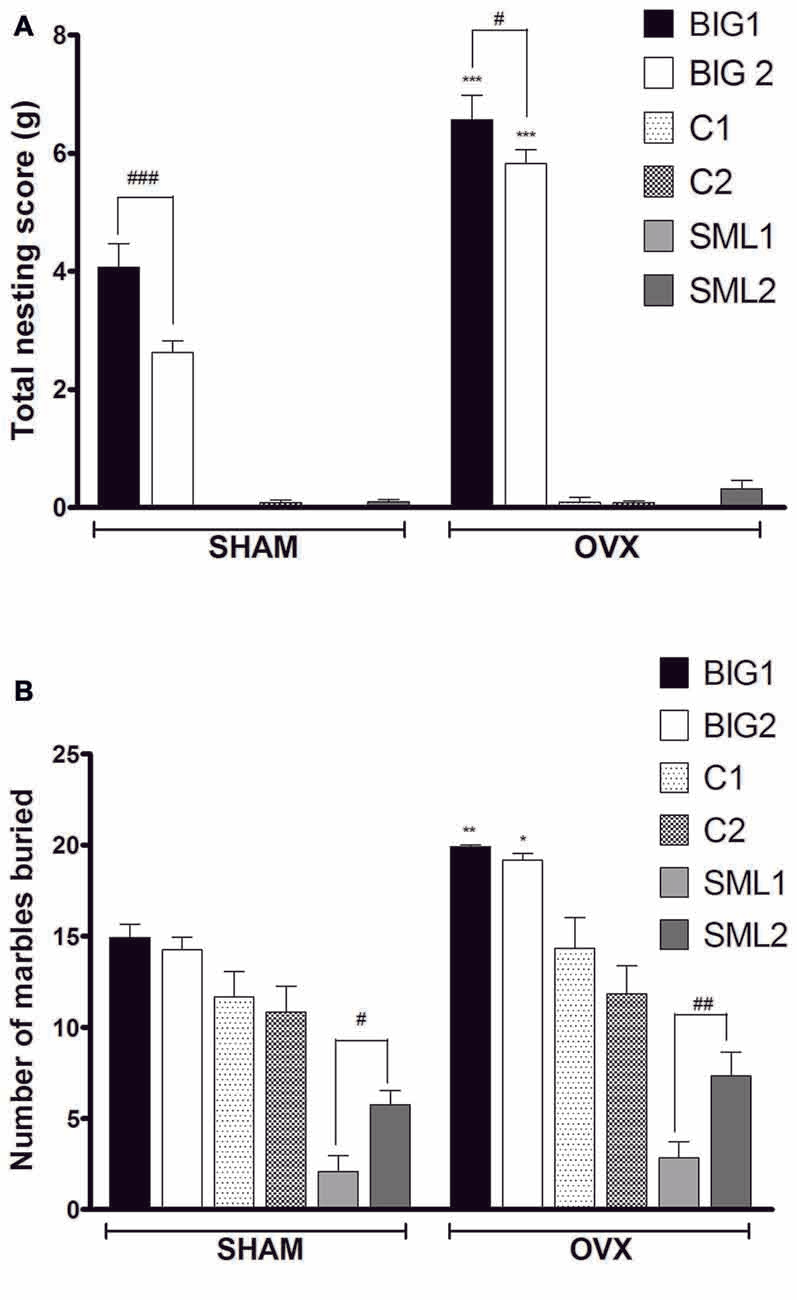 Frontiers | Ovarian Sex Hormones Modulate Compulsive