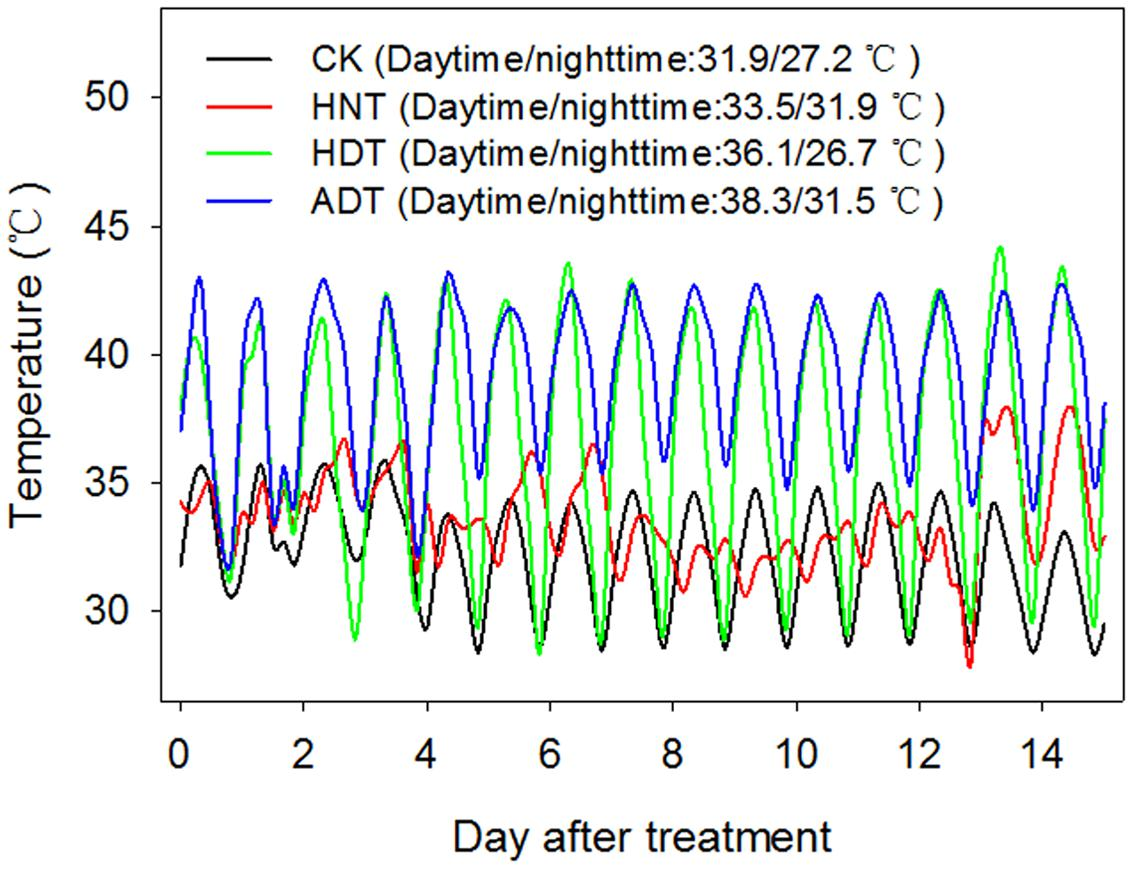 Frontiers Heat Induced Cytokinin Transportation and Degradation Are Frontiers Heat Induced Cytokinin Transportation and Degradation Are