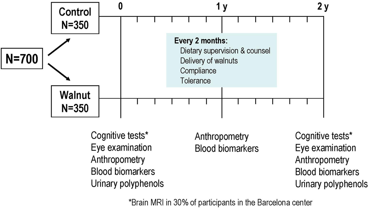 Frontiers The Walnuts and Healthy Aging Study (WAHA) Protocol for a