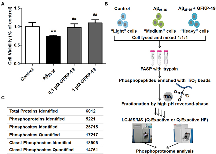 2024年新作 Frontiers | Deep Phosphoproteomic Measurements Pinpointing コミック・アニメ
