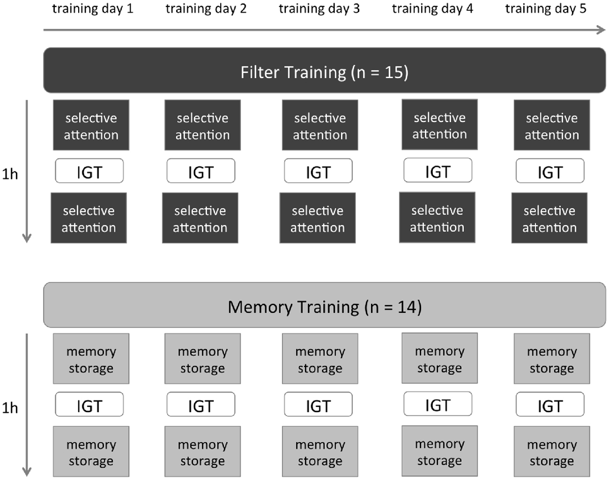 Frontiers | Attentional Filter Training but Not Memory Training ...