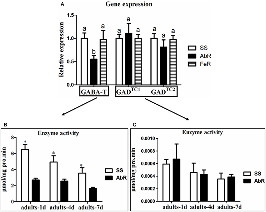 fphys-08-00216-g001.jpg