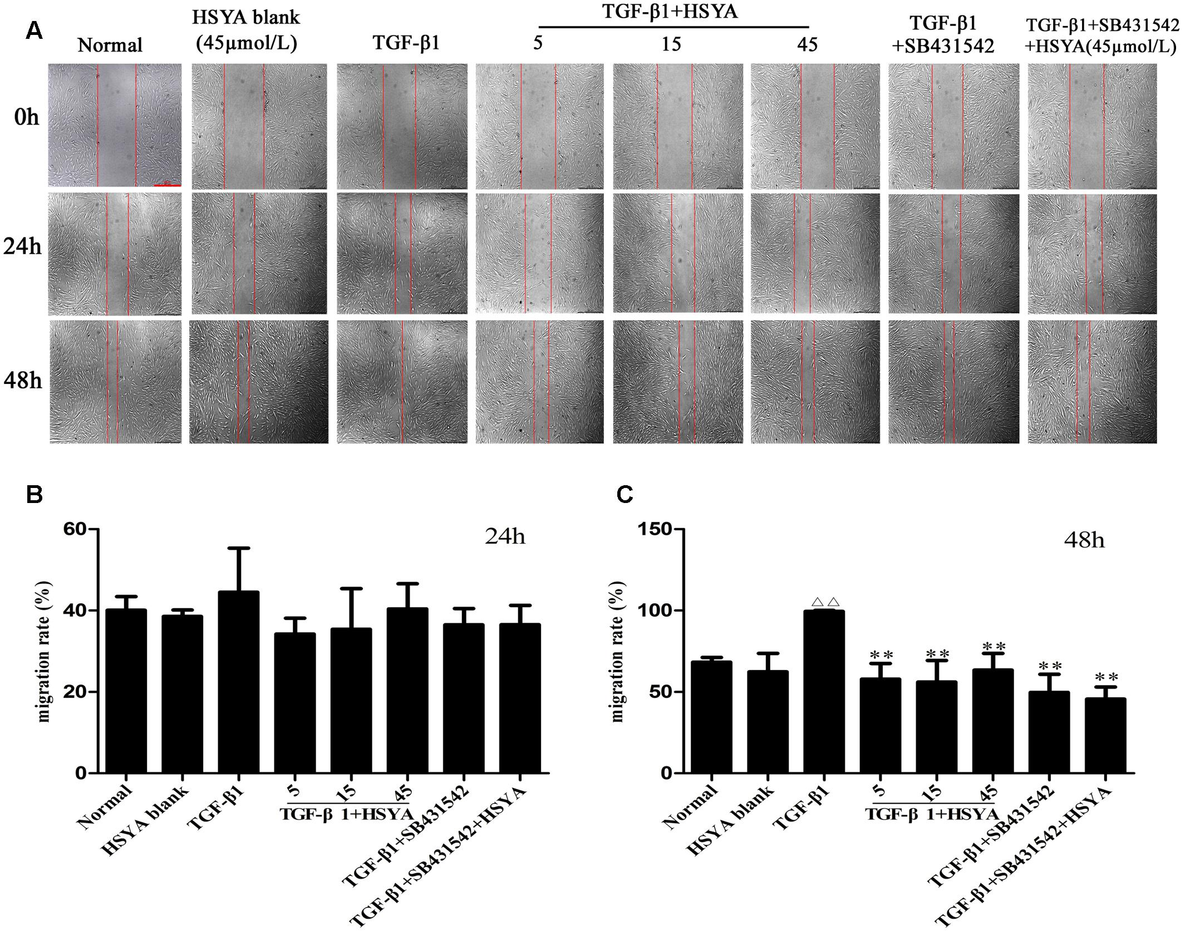 Frontiers | Hydroxysafflor Yellow A Suppresses MRC-5 Cell