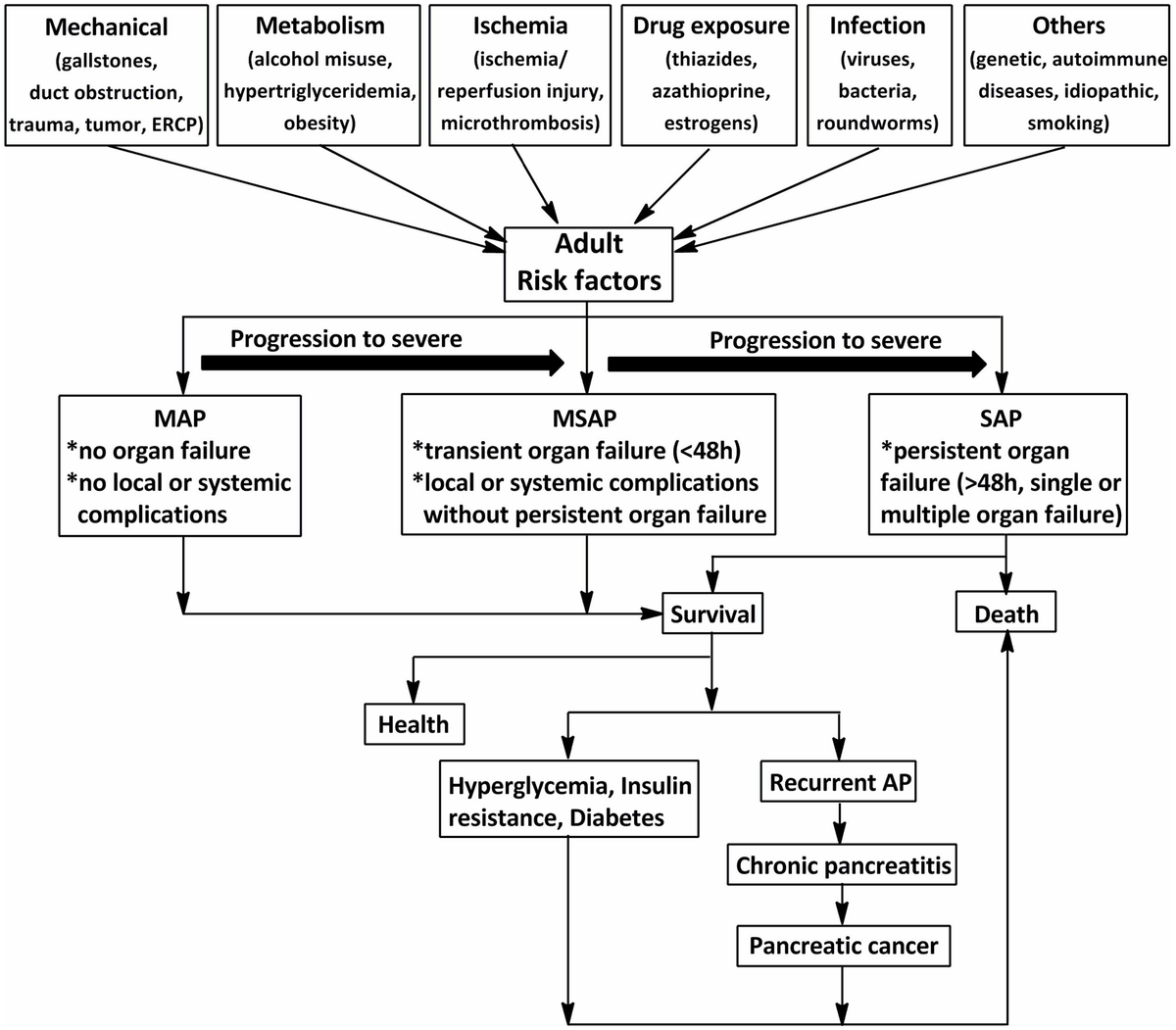 Frontiers | Chinese Herbal Medicines Attenuate Acute