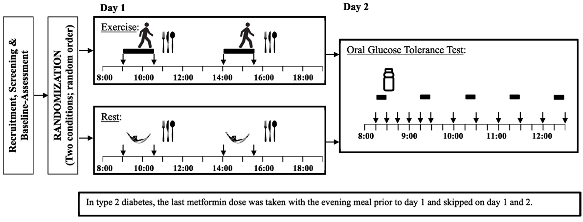 Frontiers | Glycemic and Metabolic Effects of Two Long Bouts