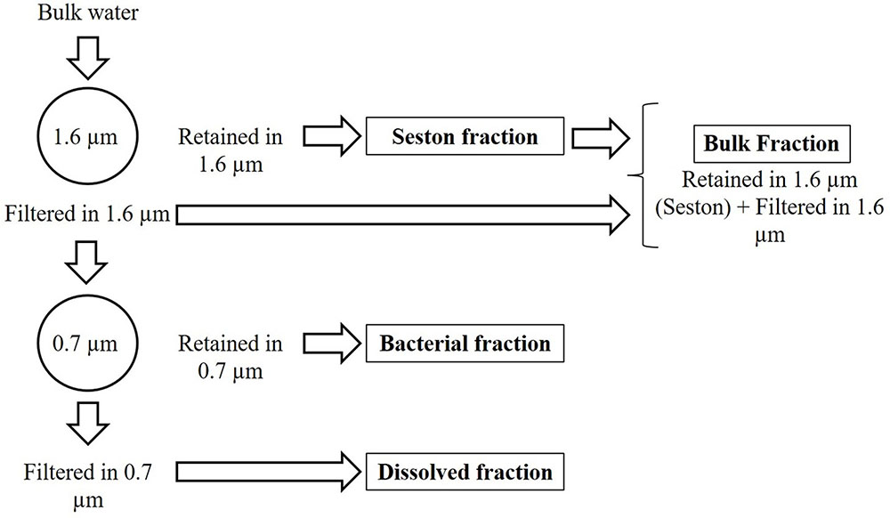 Frontiers Redfield Ratios in Inland Waters Higher Biological Control