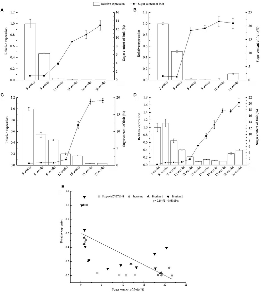 Frontiers | Overexpression of a Grapevine Sucrose Frontiers | Overexpression of a Grapevine Sucrose