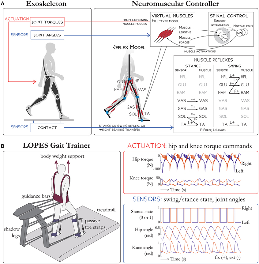 健康・医学 TECHNIQUE STUDY DICTIONARY TOGGLE RECOIL m45141645631_1.jpg?1741268020