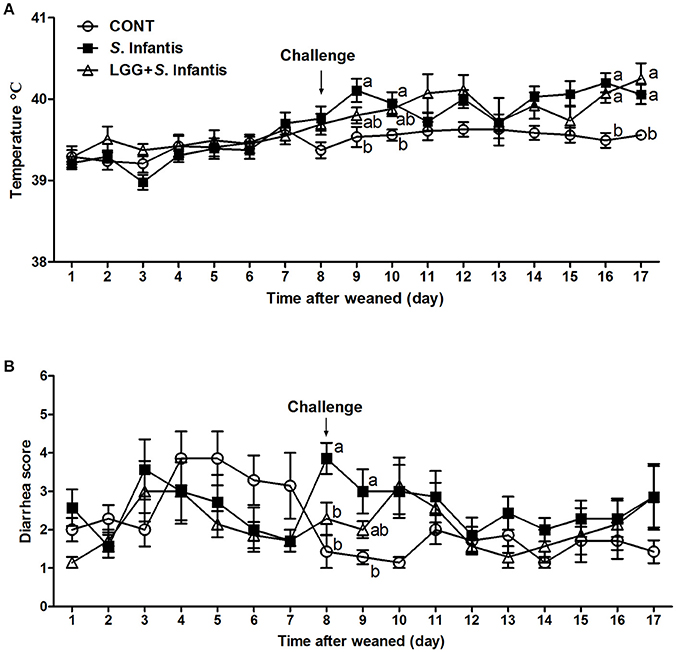 H・M様 楽天市場】【中古】NTT製 αZX ZXM-ME(1)主装置 電話機は最大で40