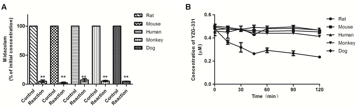Frontiers | Interspecies Variation of In Vitro Stability and