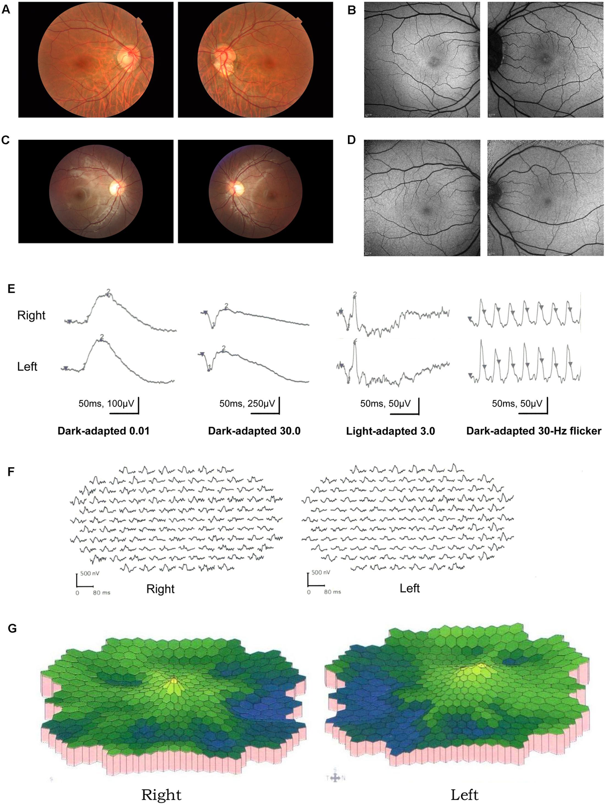 Frontiers | Next-Generation Sequencing-Aided Rapid Molecular