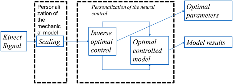 Innovation　 Frontiers | Neuromechanical Cost Functionals Governing Motor