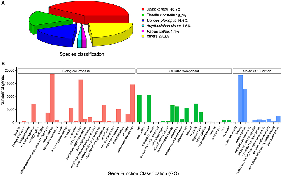 Frontiers | Chemosensory Gene Families in Ectropis