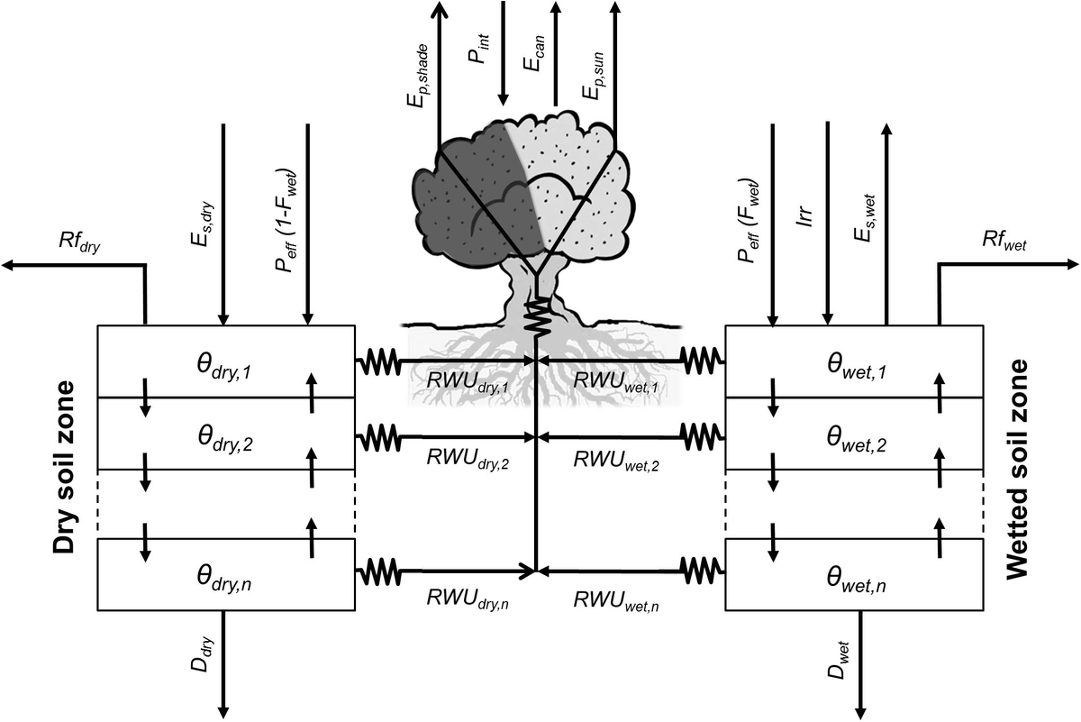 fpls-09-00632-g001.jpg