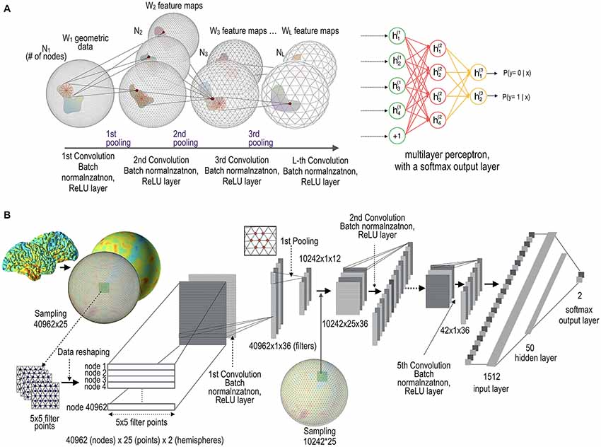Frontiers | Geometric Convolutional Neural Network for