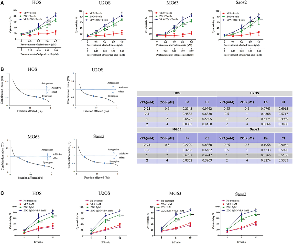 Frontiers | Valproic Acid Combined with Zoledronate Enhance