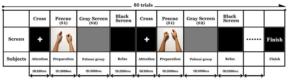 Frontiers | Assessing the Relationship Between Motor