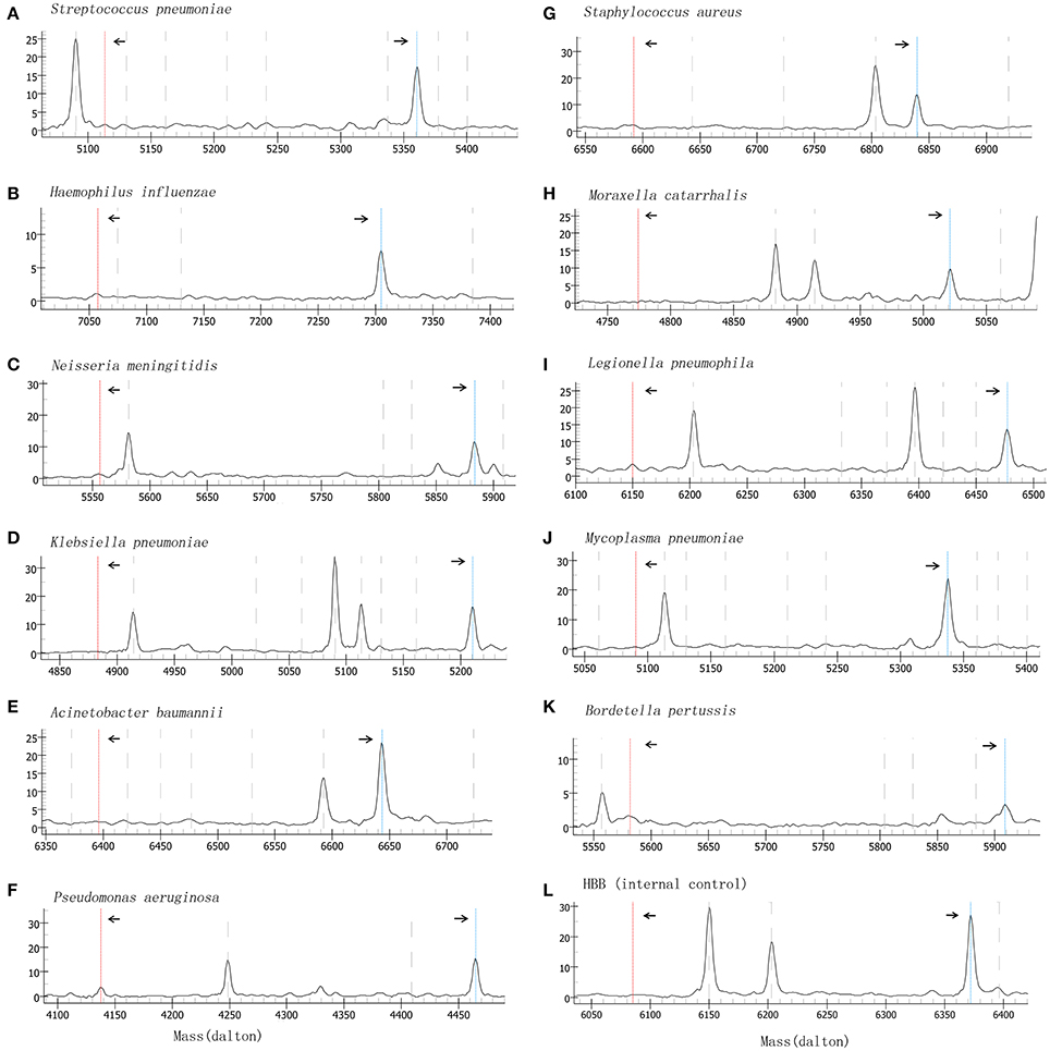 Frontiers | Simultaneous Detection of Key Bacterial
