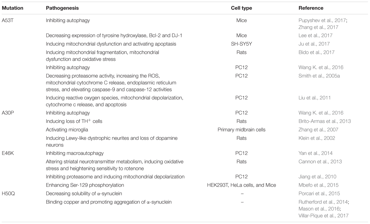 Frontiers | Cellular and Molecular Basis of
