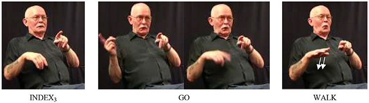 Frontiers | Structure and Grammaticalization of Serial Verb