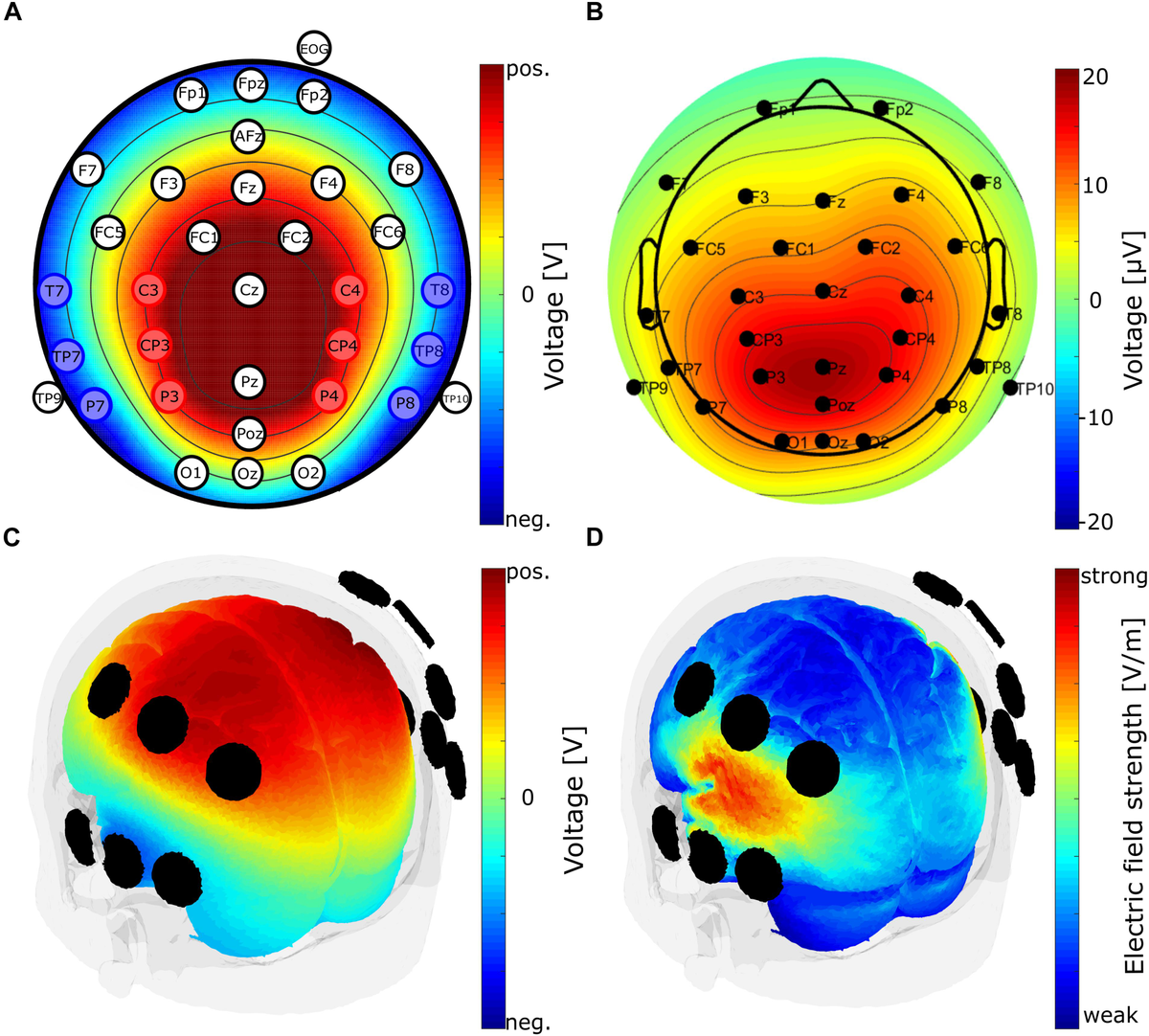Frontiers | Challenges of P300 Modulation Using Transcranial