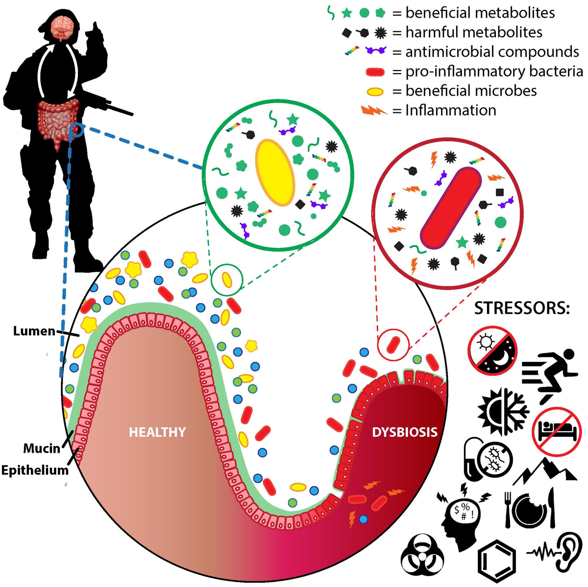 Frontiers | Effects of Psychological, Environmental and Frontiers | Effects of Psychological, Environmental and