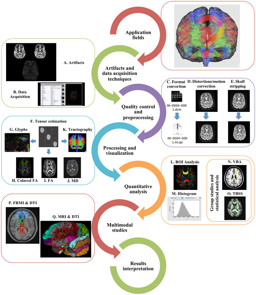 メグ Frontiers | A hitchhiker's guide to diffusion tensor imaging