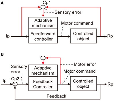 Frontiers | Error detection and representation in the olivo