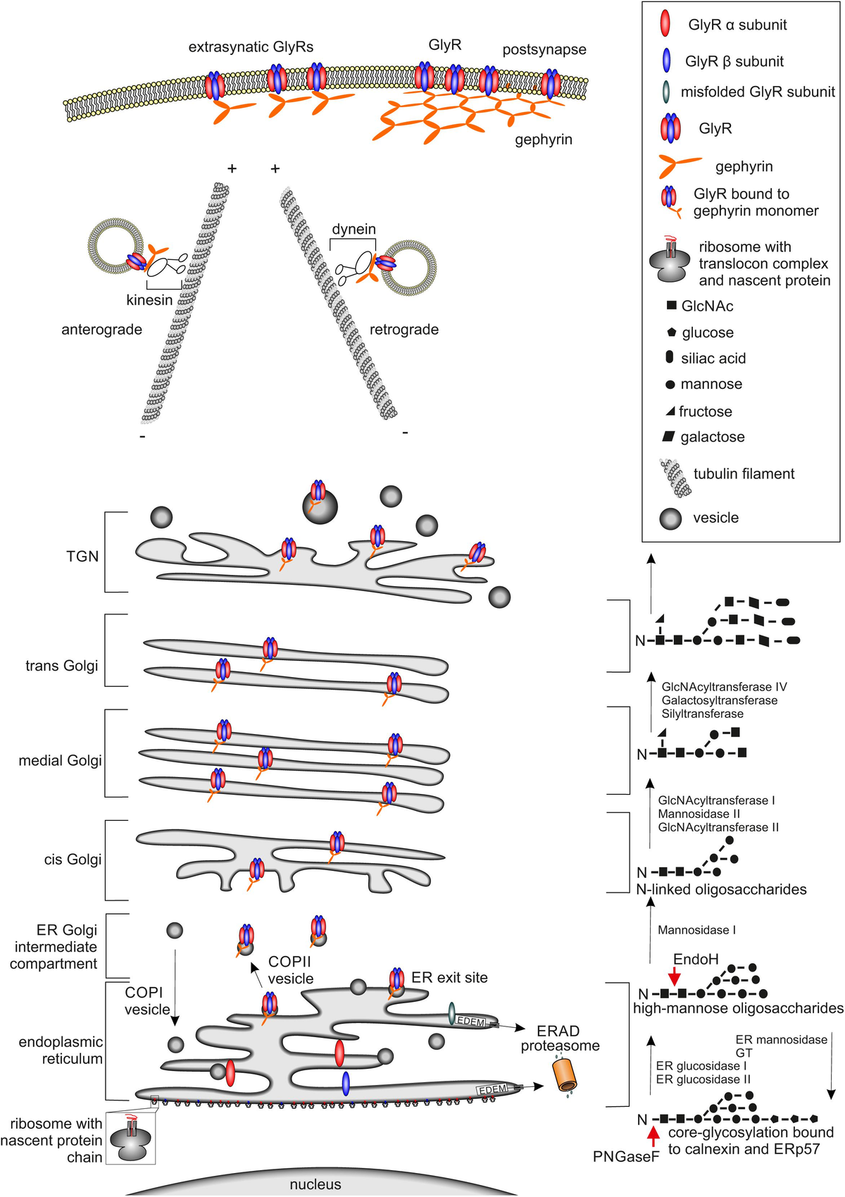 TS Ultralow loading palladium nanocatalysts prepared by atomic