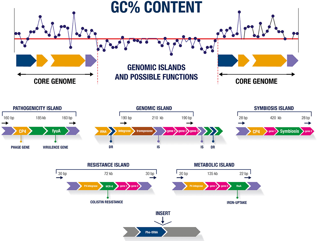 Frontiers | Comparative Analysis of Genomic Island Prediction Tools