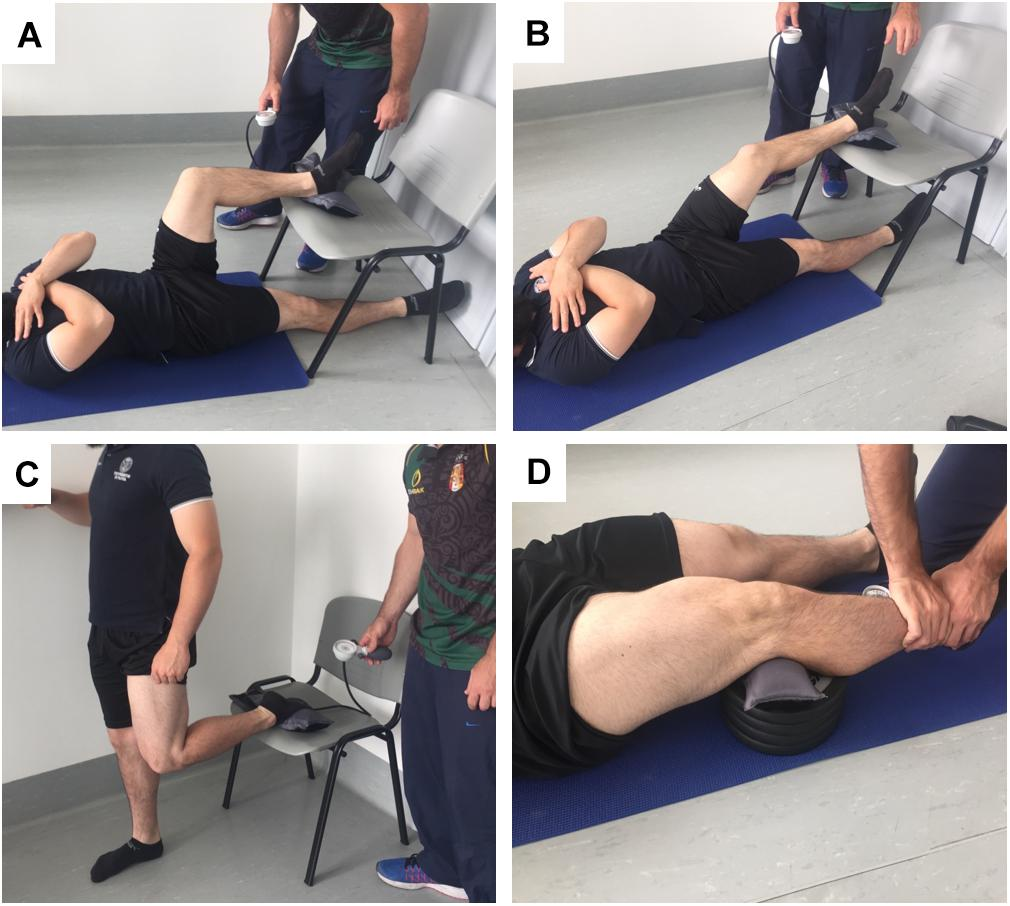 Quadriceps and hamstring strengthening exercises on sale