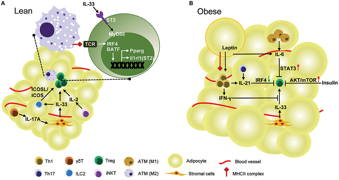 45番 Frontiers | CAR T-cell therapy in autoimmune diseases: a