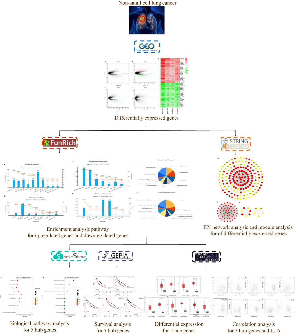 Frontiers | Identification of Candidate Biomarkers