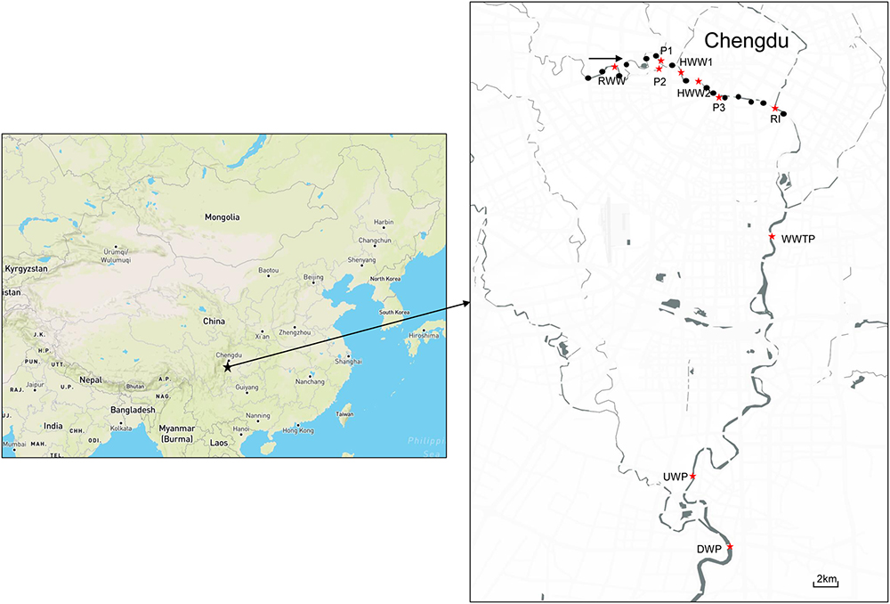 Frontiers | The Prevalence of Colistin Resistant Strains and