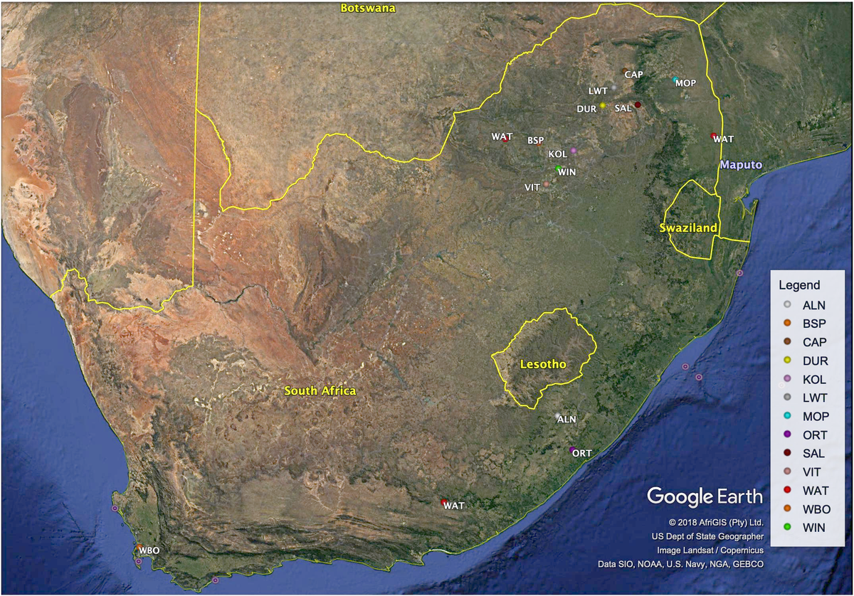 Frontiers | Genome Wide Assessment of Genetic Variation and