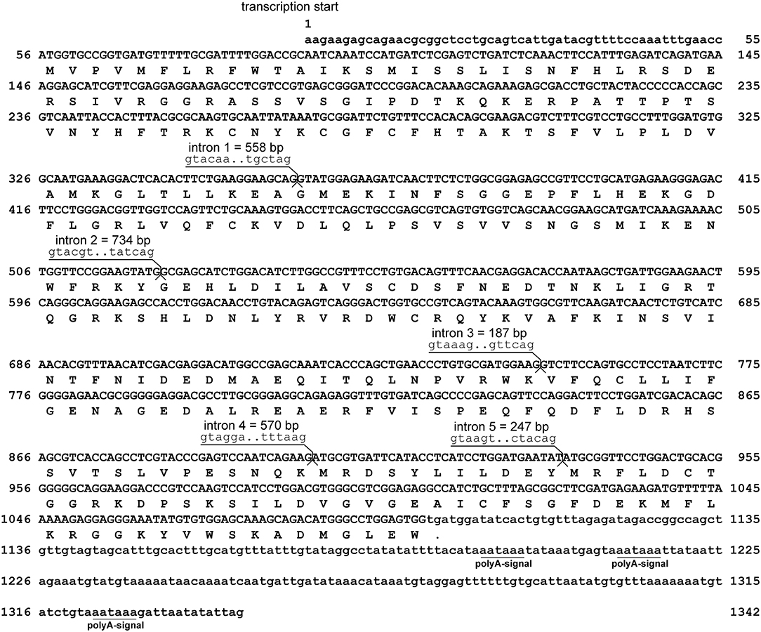 fimmu-10-00311-g001.jpg