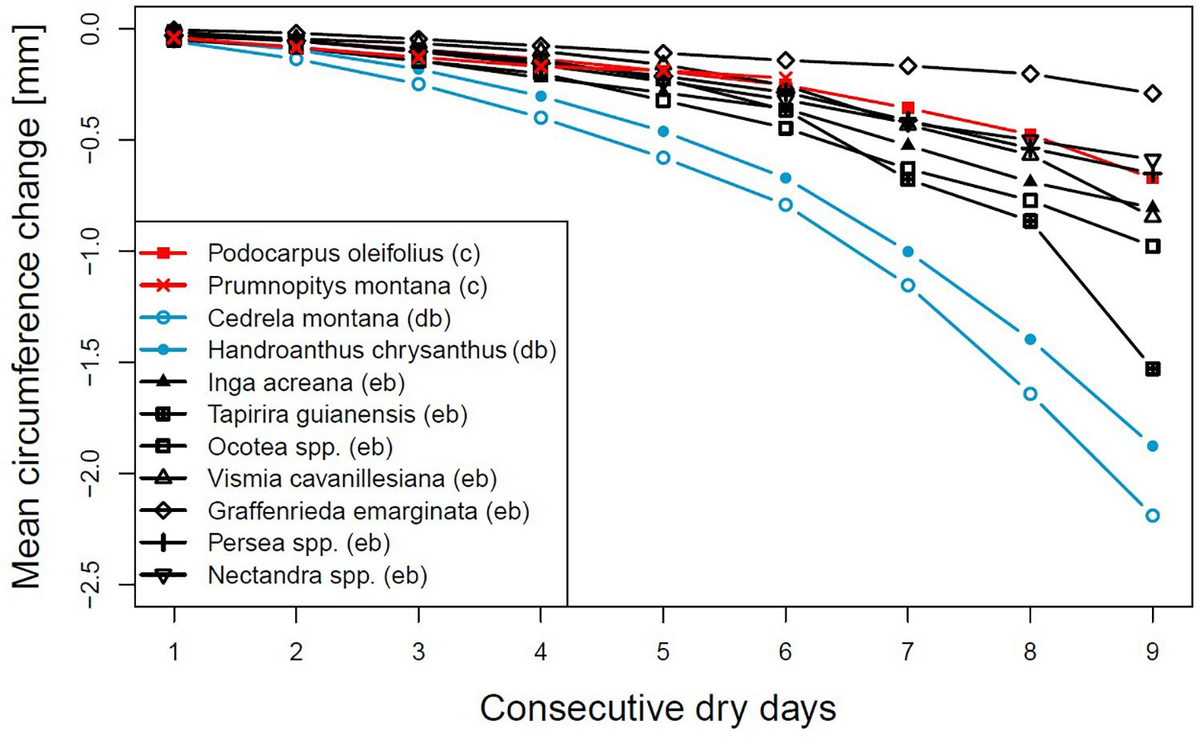 Frontiers Tree Circumference Changes and Species Specific Growth