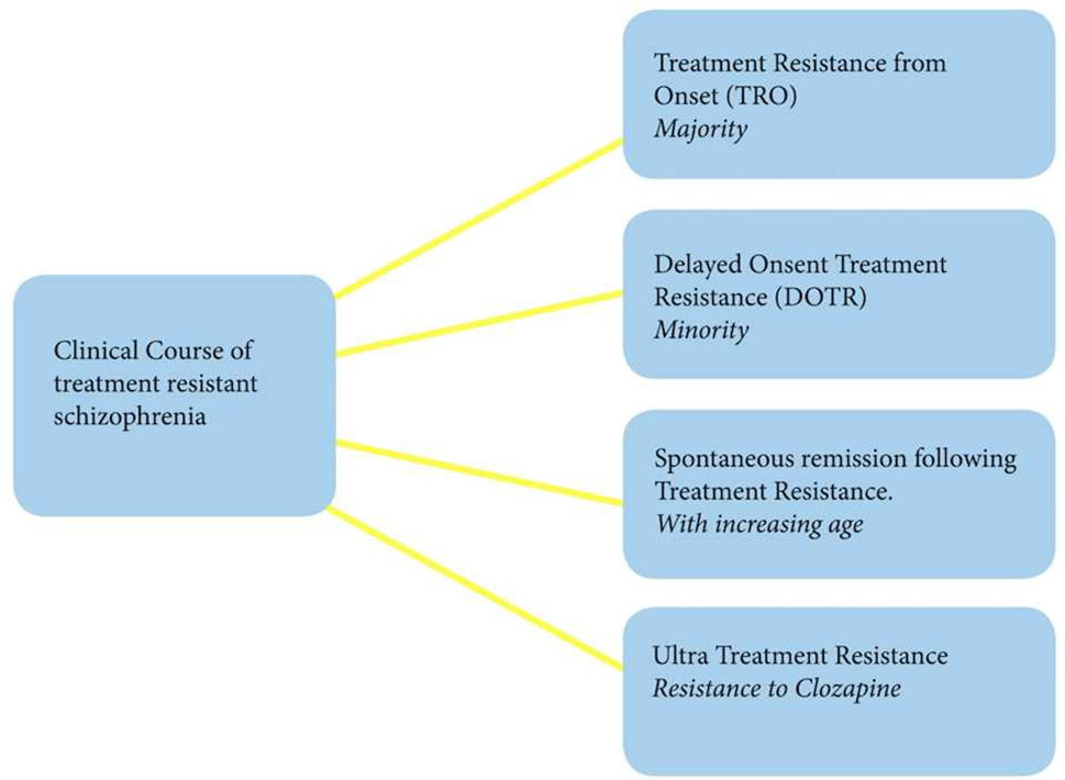 Frontiers | Clinical Course, Neurobiology and Therapeutic