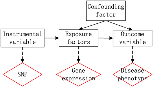 Frontiers | Identification of Alzheimer's Disease-Related