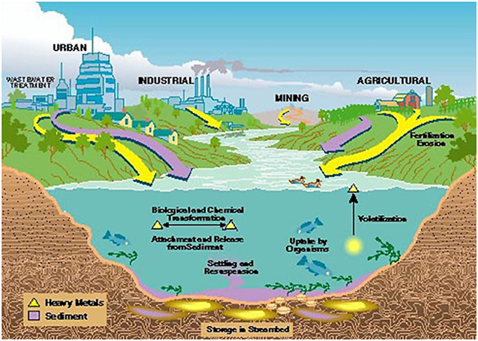 Frontiers | Integrated Remediation Processes Toward Heavy Metal  Removal/Recovery From Various Environments-A Review