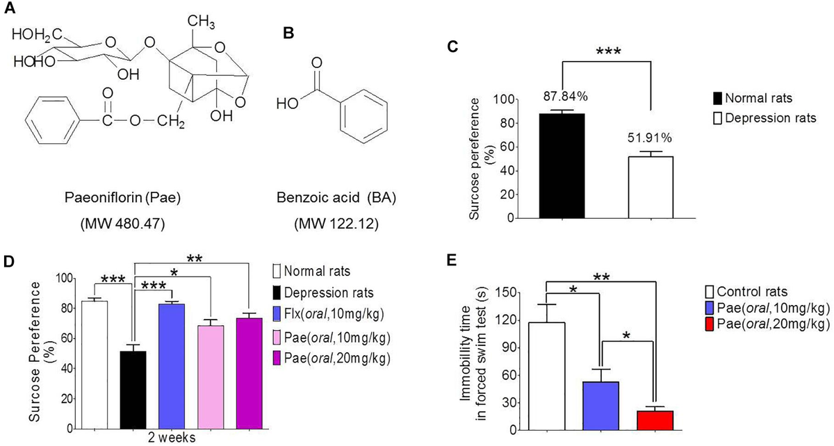 Frontiers | Gut Microbiota-Based Pharmacokinetics and the Frontiers | Gut Microbiota-Based Pharmacokinetics and the