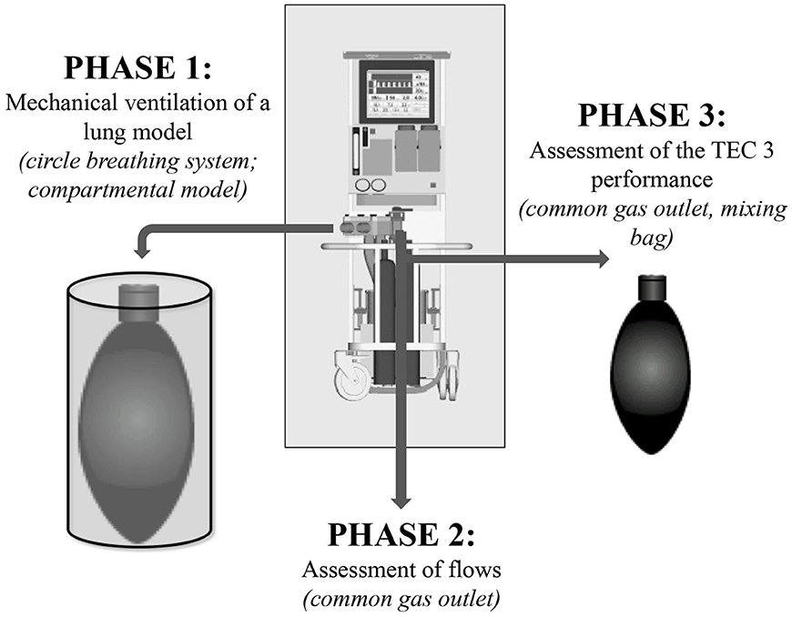 Frontiers | Do the Manual or Computer-Controlled Flowmeters