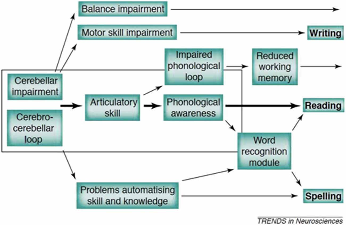 洋書 Phonological Theory: Evolution and Curre Hyman - Phonology - Theory and Analysis (1975) : Allan R