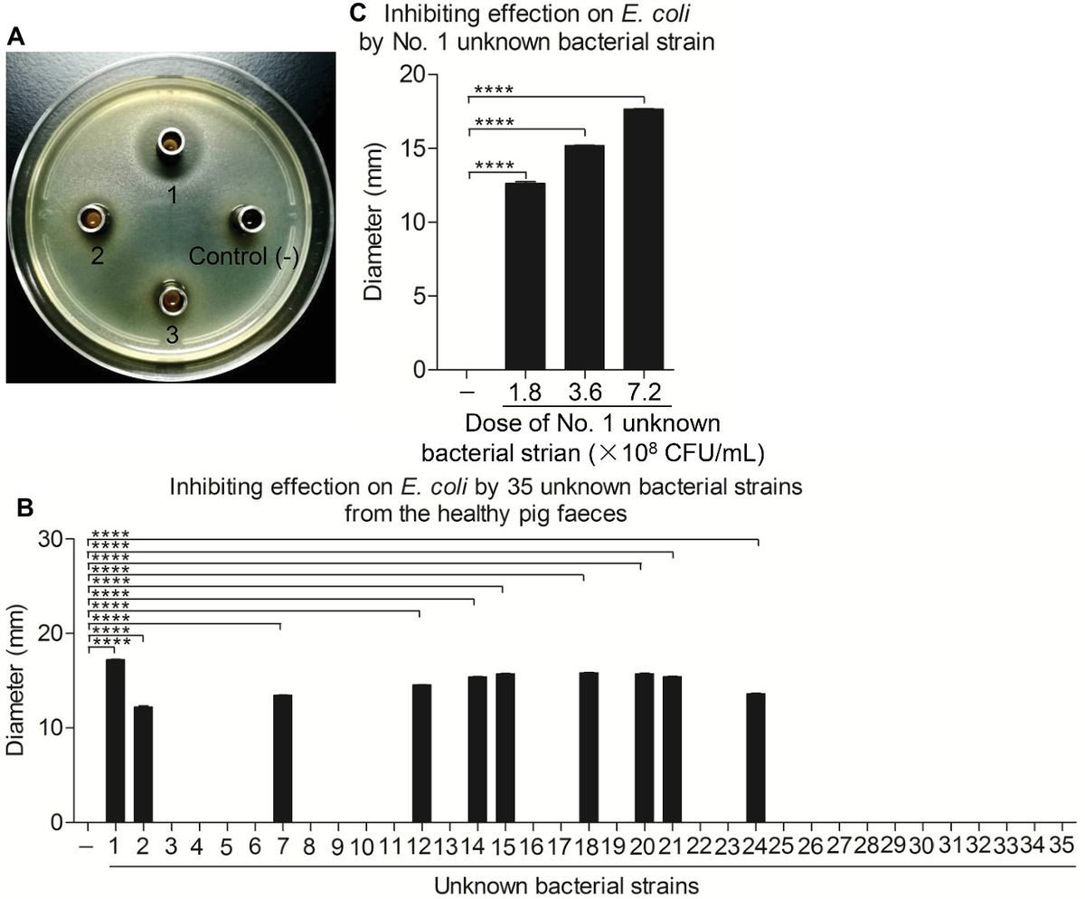 Frontiers | A Newly Isolated Bacillus subtilis Strain Named