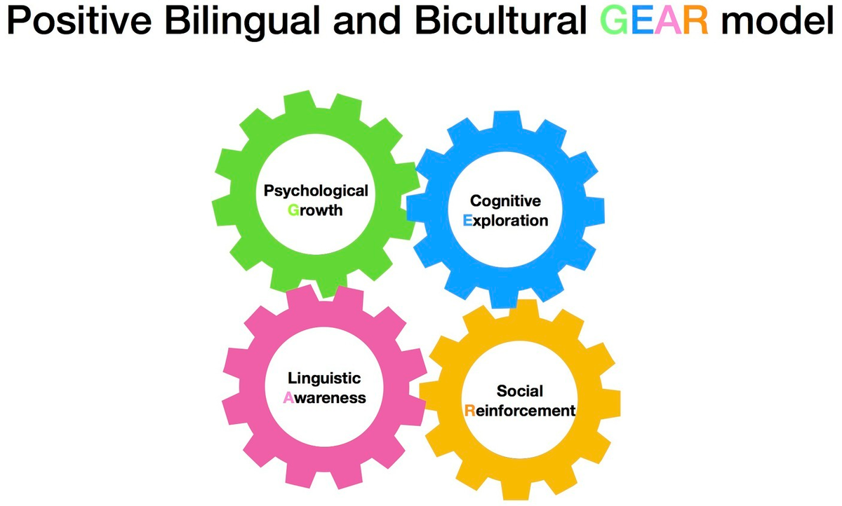 Bilingualism and cognitive development clearance