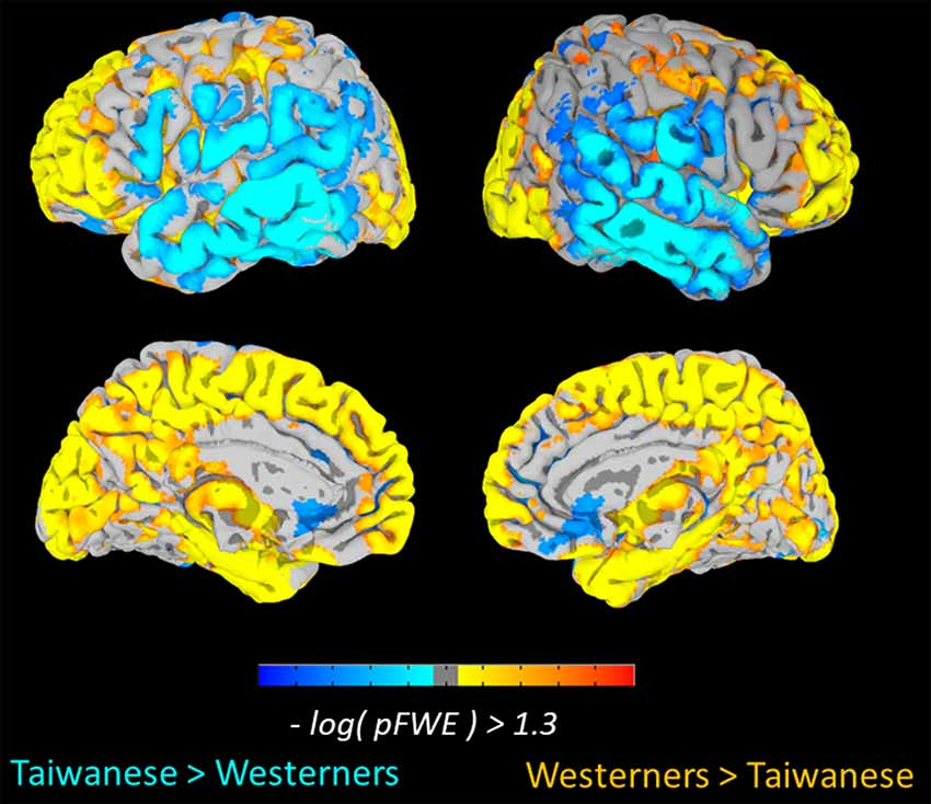 Frontiers | Culture-Related and Individual Differences in